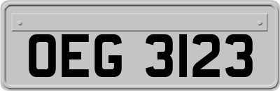 OEG3123