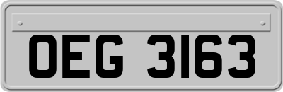 OEG3163