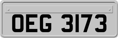 OEG3173