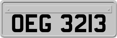 OEG3213