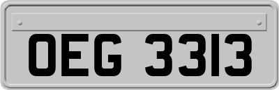 OEG3313