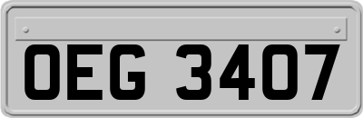 OEG3407