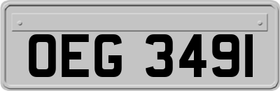 OEG3491