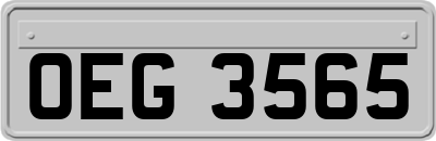 OEG3565