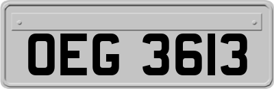 OEG3613