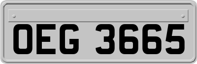 OEG3665