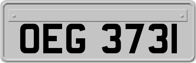 OEG3731