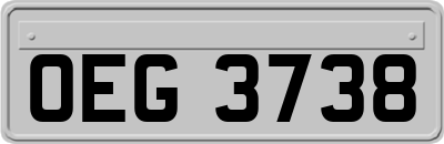 OEG3738