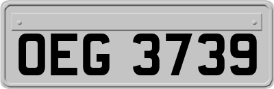 OEG3739