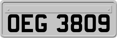 OEG3809