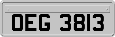OEG3813