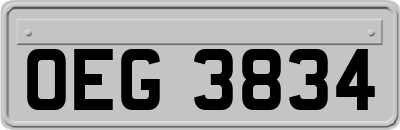 OEG3834