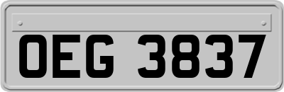 OEG3837