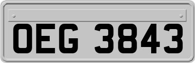 OEG3843