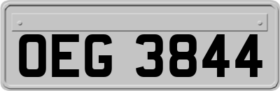 OEG3844