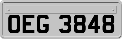 OEG3848