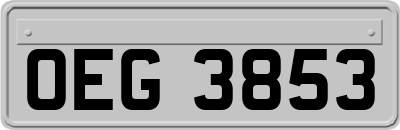 OEG3853