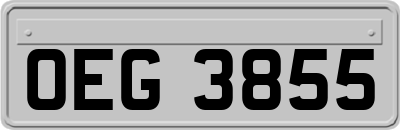 OEG3855