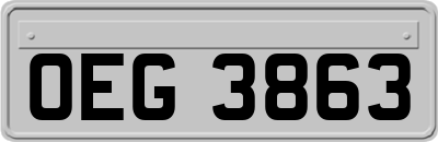 OEG3863