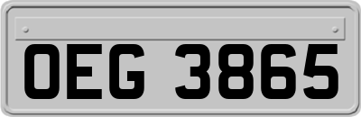 OEG3865
