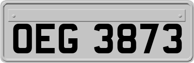 OEG3873