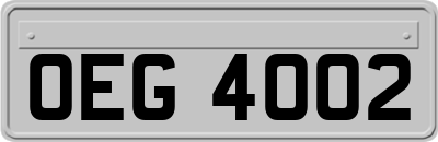 OEG4002