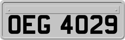 OEG4029