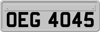 OEG4045