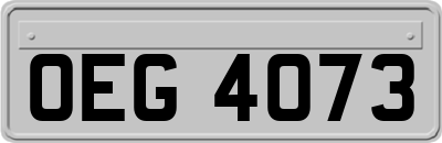 OEG4073
