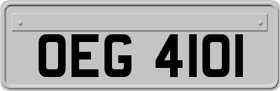 OEG4101