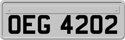 OEG4202