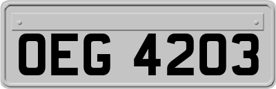 OEG4203
