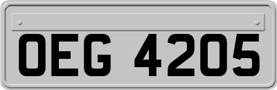 OEG4205
