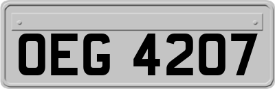 OEG4207