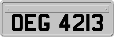 OEG4213
