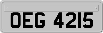 OEG4215