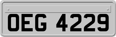 OEG4229