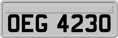 OEG4230