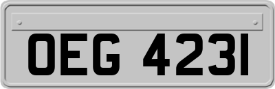 OEG4231