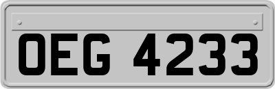OEG4233