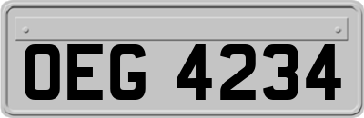 OEG4234