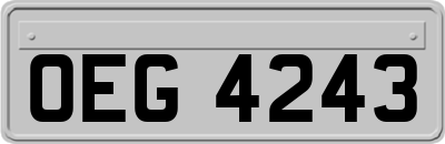 OEG4243