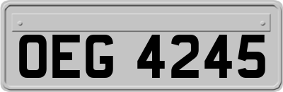OEG4245