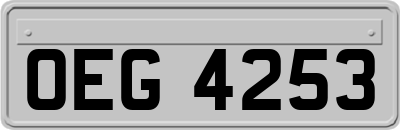OEG4253
