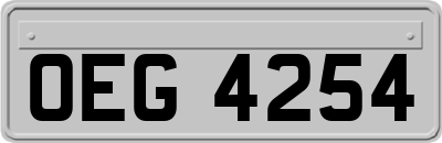 OEG4254