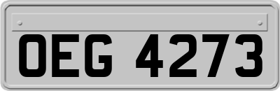 OEG4273