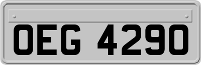 OEG4290