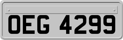 OEG4299