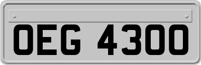 OEG4300