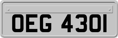 OEG4301